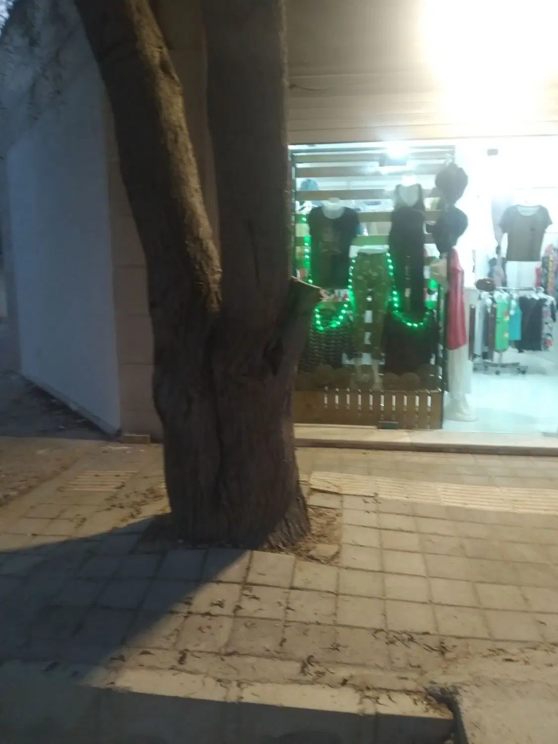 مغازه عالیشهر فازه یک