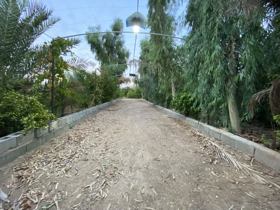 باغ شهری جهرم قبل از کارخانه ارد
