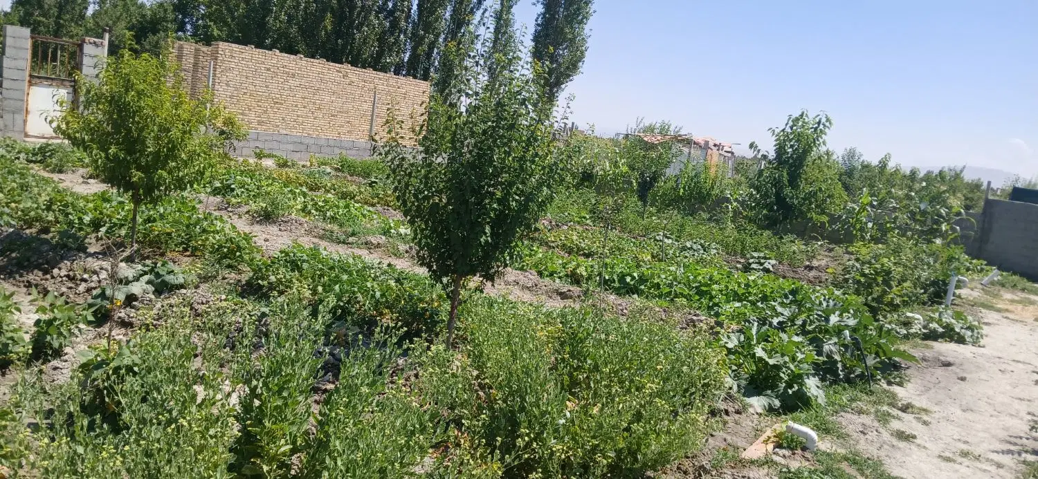باغ ویلایی ۷۵۰ متری