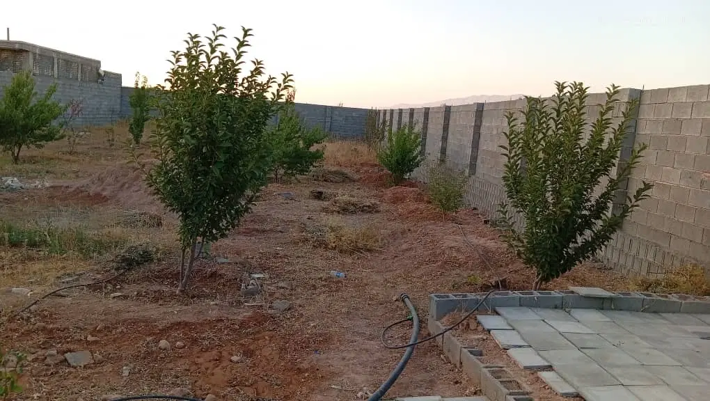 باغ شهری ۱۰۰۰ متری  سند تک‌برگ درخت سه سال