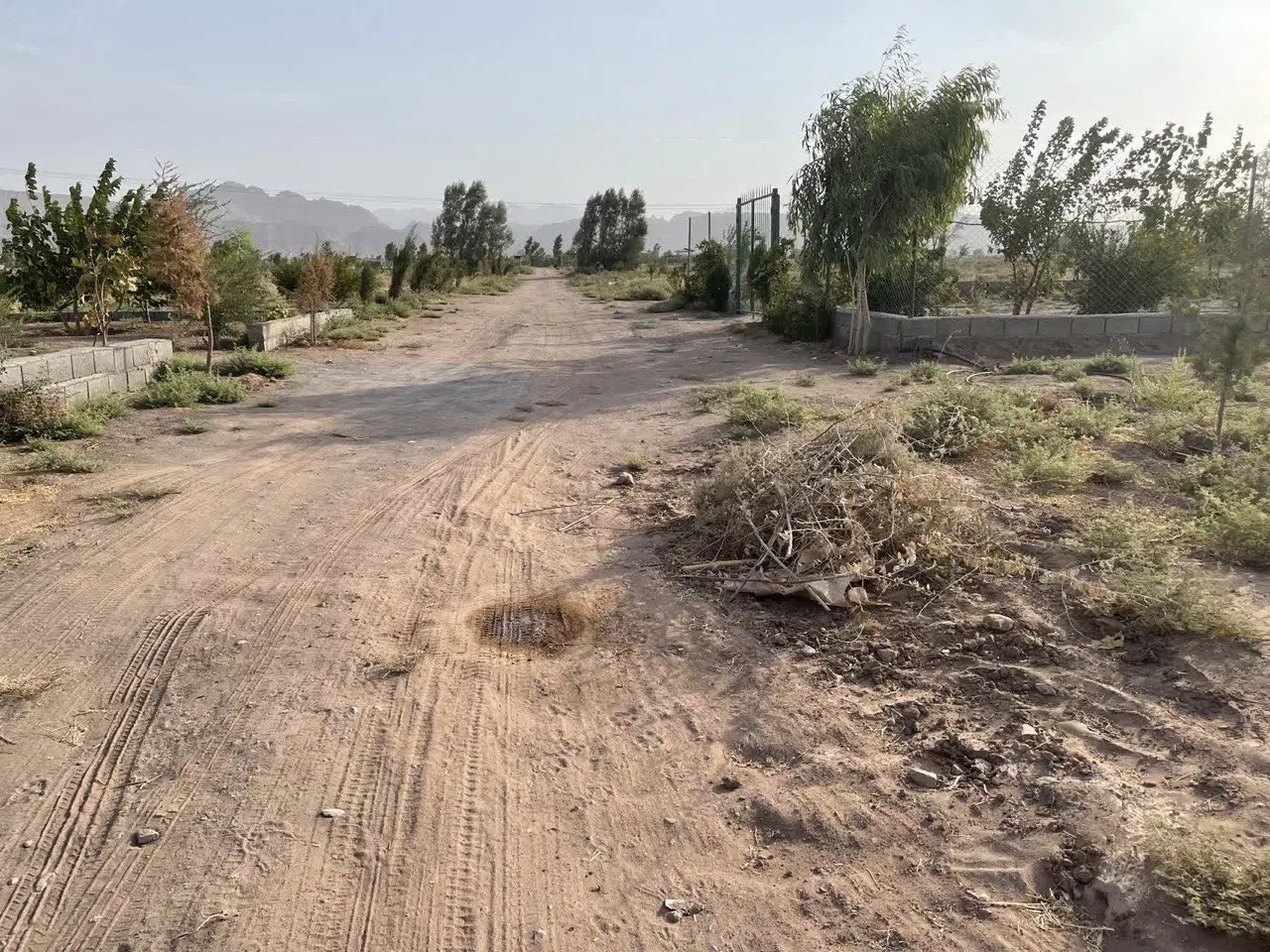 فروش ۵۰۰ متری باغچه در باغ جنت