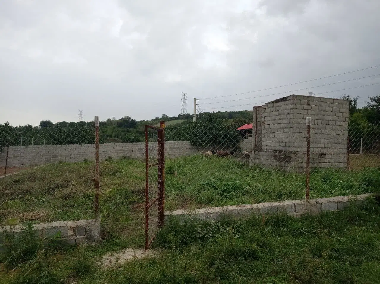پلاک 280 متری،روستای زیبای لالیم