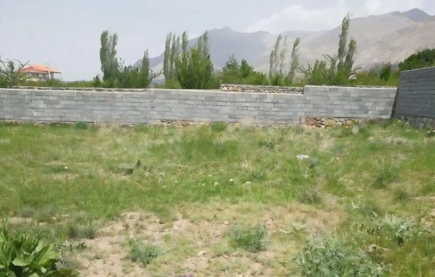 زمین باغ