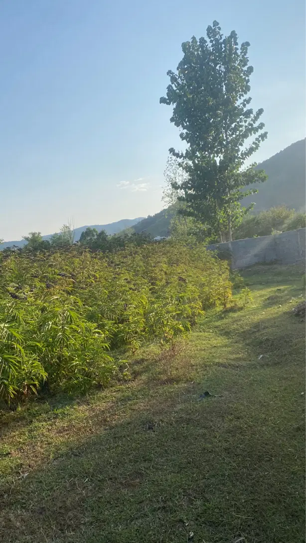 زمین مسکونی کوهپایه‌ای برای فروش