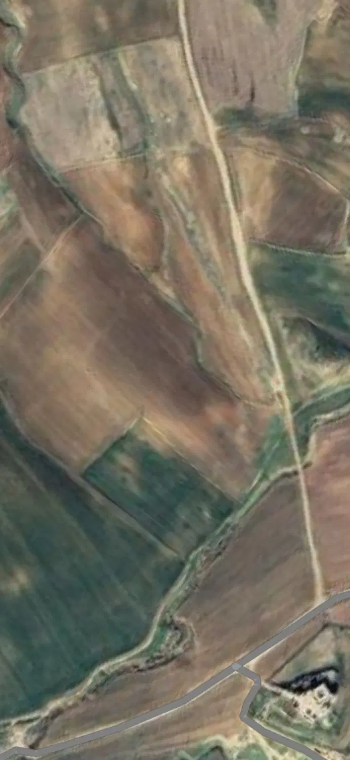 فروش 4 هکتار زمین دیم روستای چفته