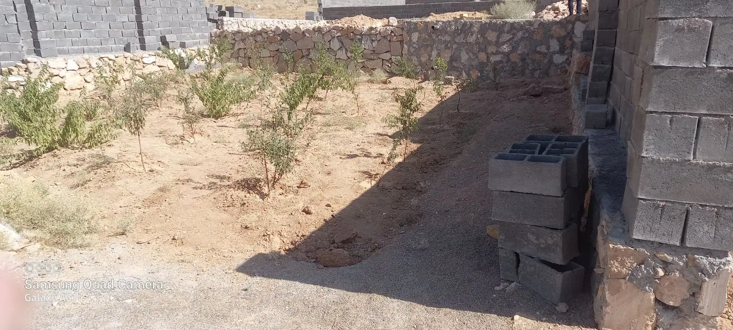 زمین در روستای سعید اباد