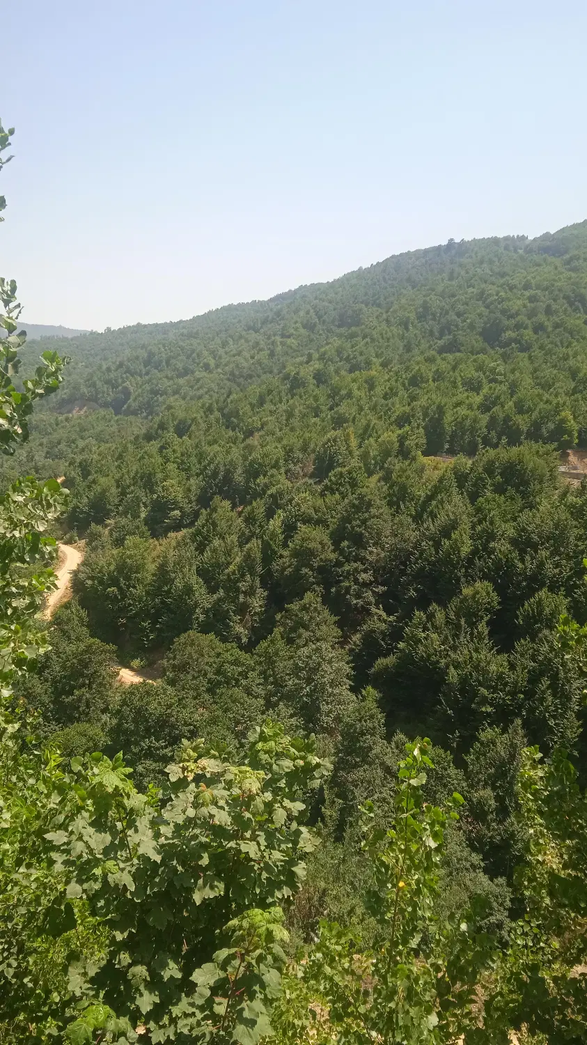 اجاره آپارتمان سالانه در روستای کارمزد