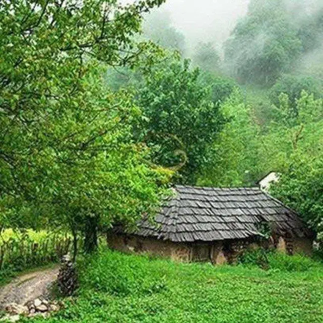 همخونه میخوام