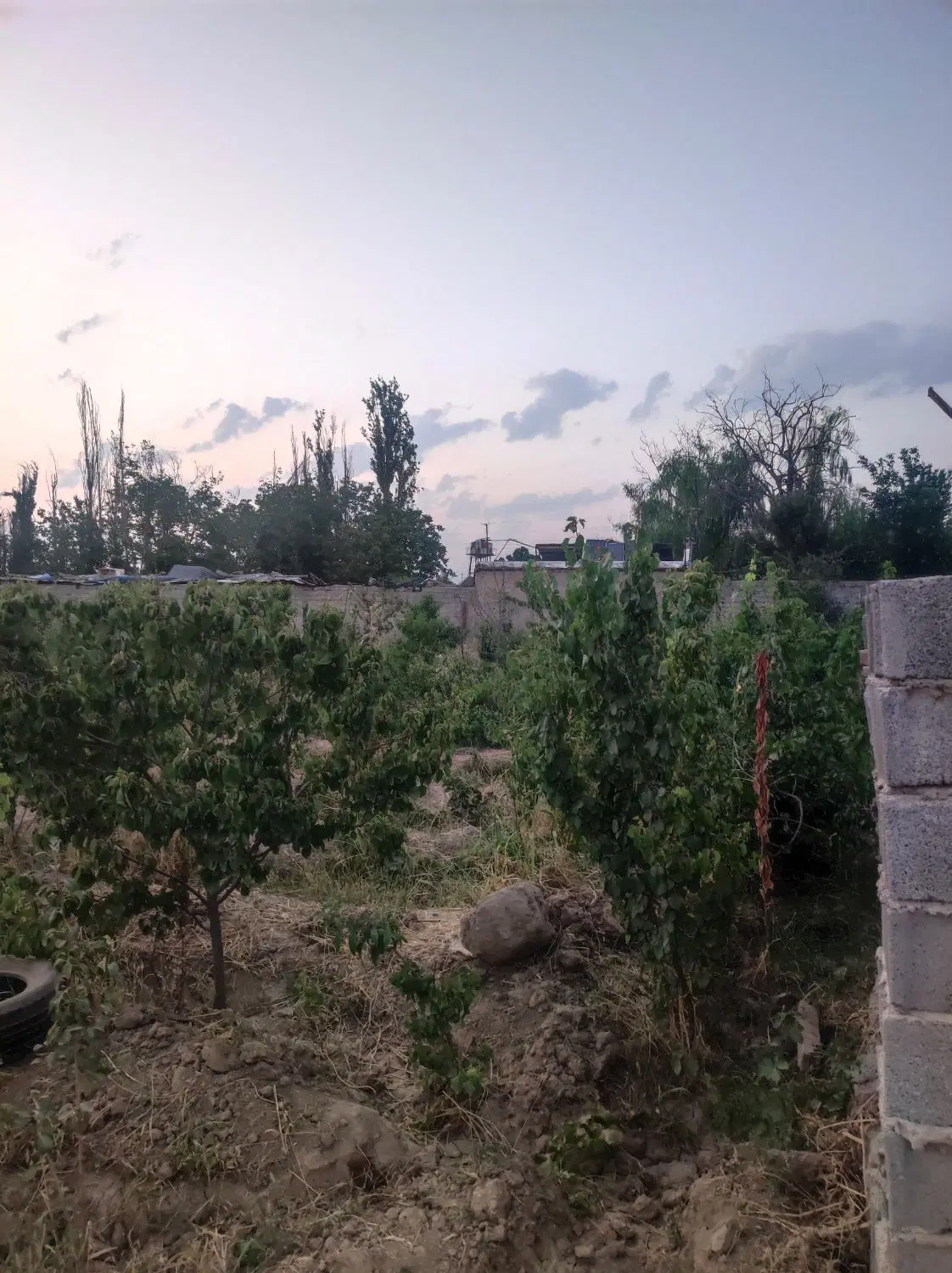 430 متر باغچه در ابراهیم بیگی با حق آب قانونی