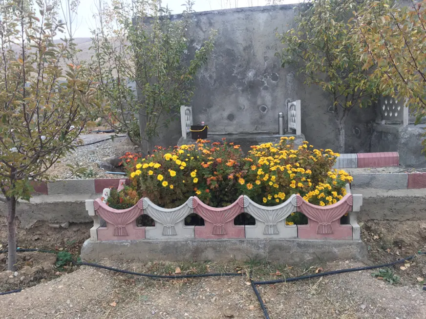 باغ در سعید آباد