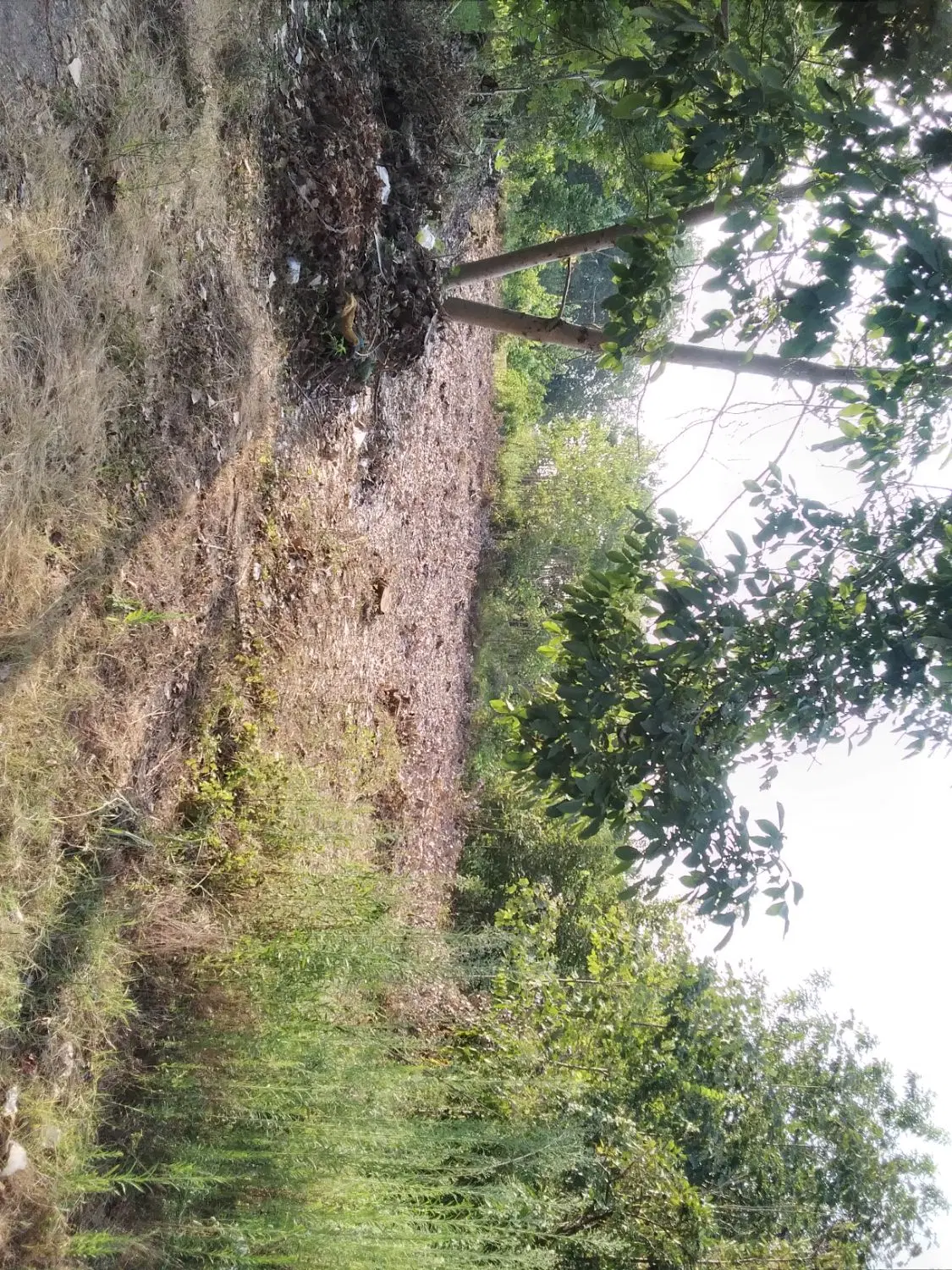 زمین روستایی نزدیک شهر  مابین لاهیجان و استانه