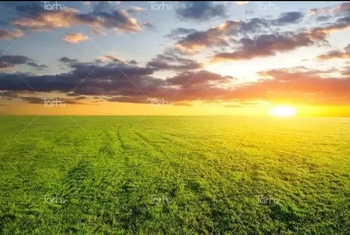 فروش زمین