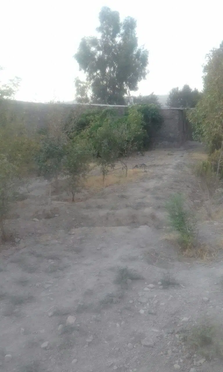 باغ زمین سند قطعی