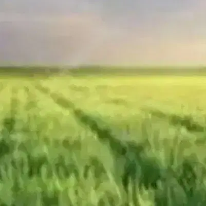 زمین کشاورزی با تمامی امکانات کنار جاده