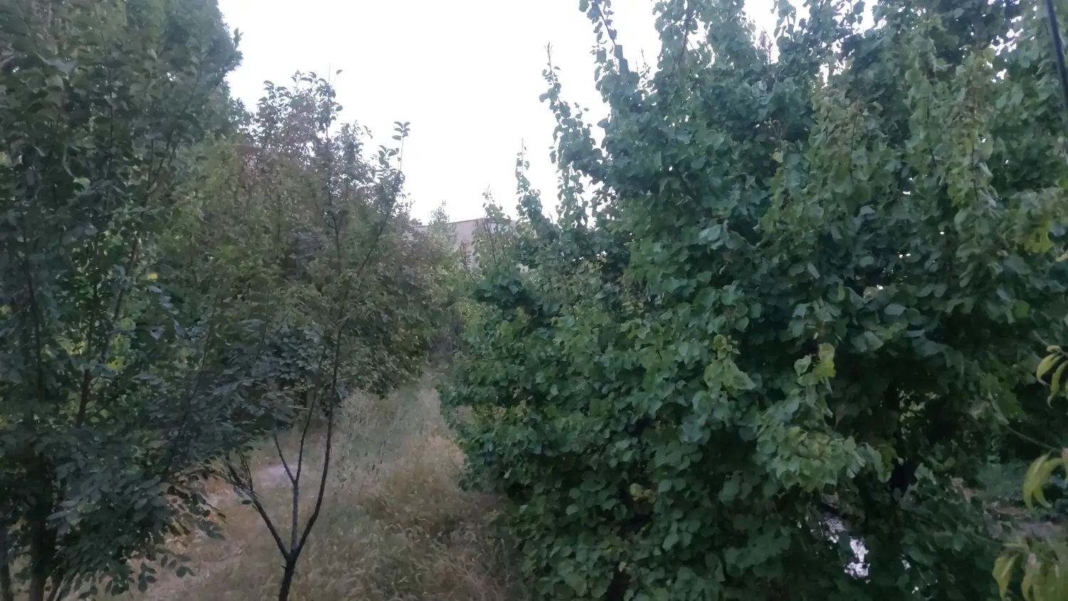 ۷۰۰۰م باسالن بناویلایی منطقه کارگاهی