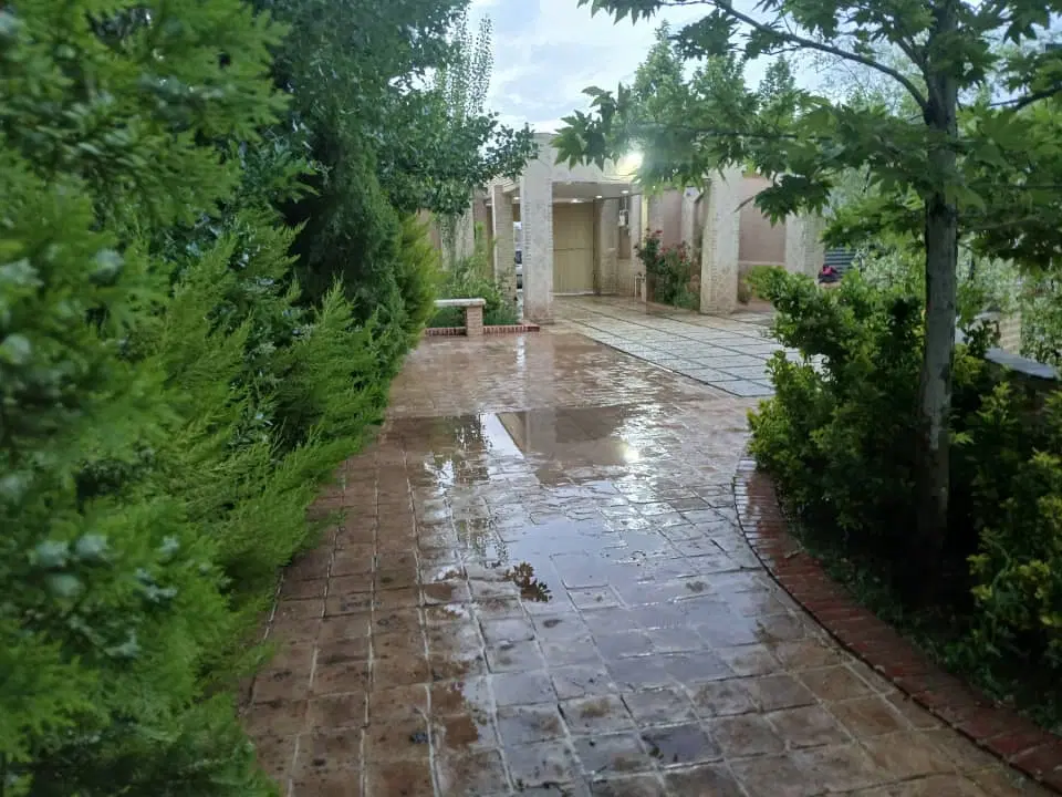 28قصب دوکله