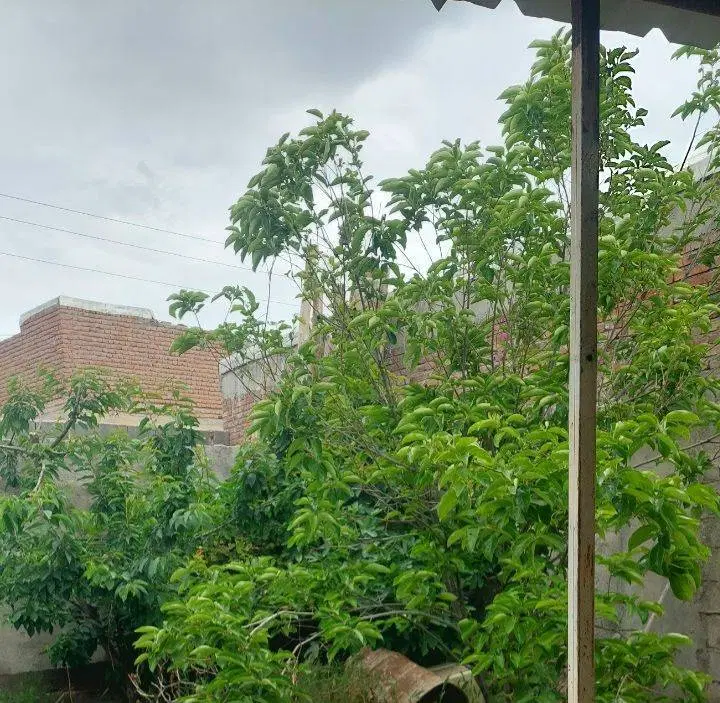فروش خانه در روستای سرج