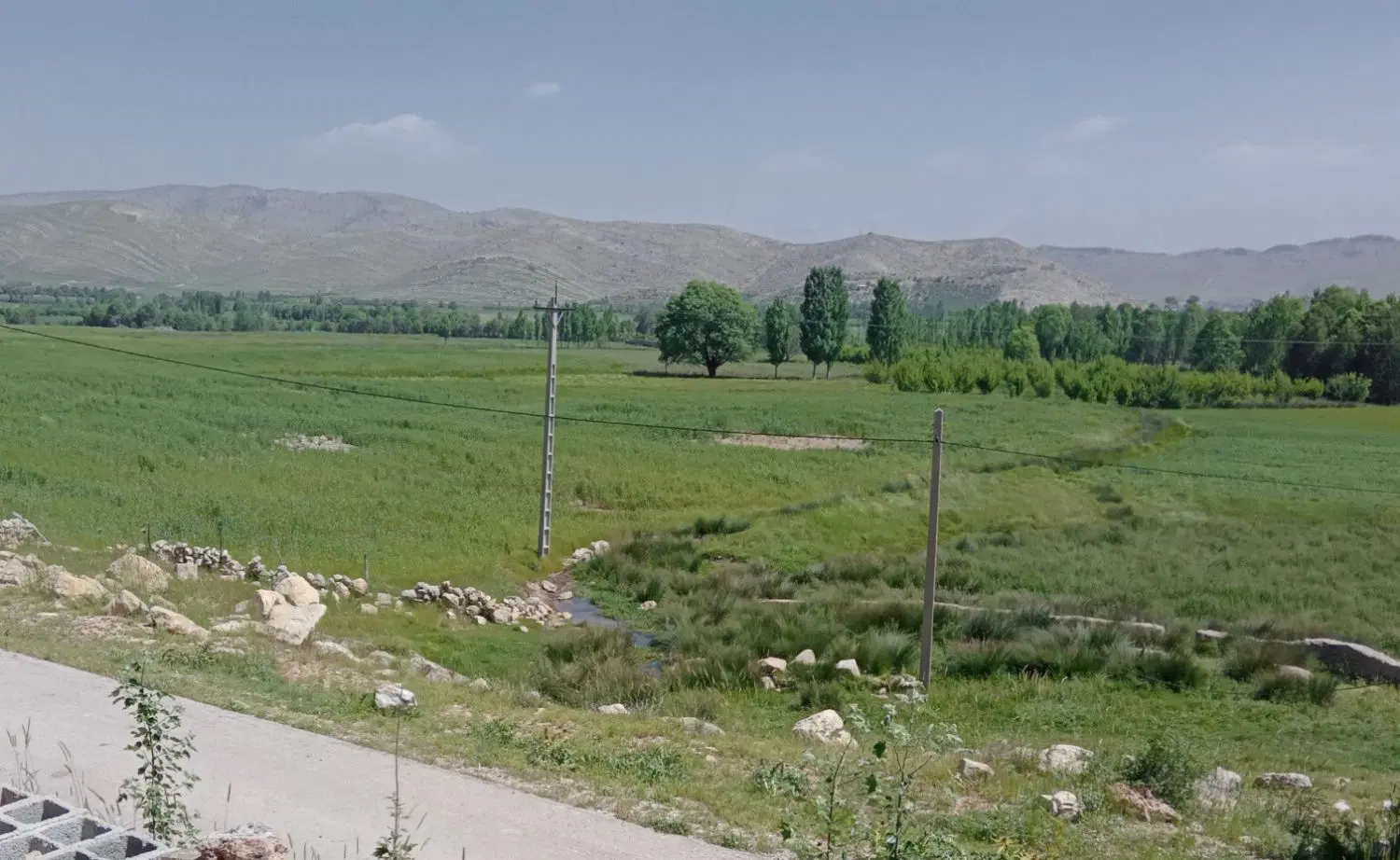 زمین کشاورزی