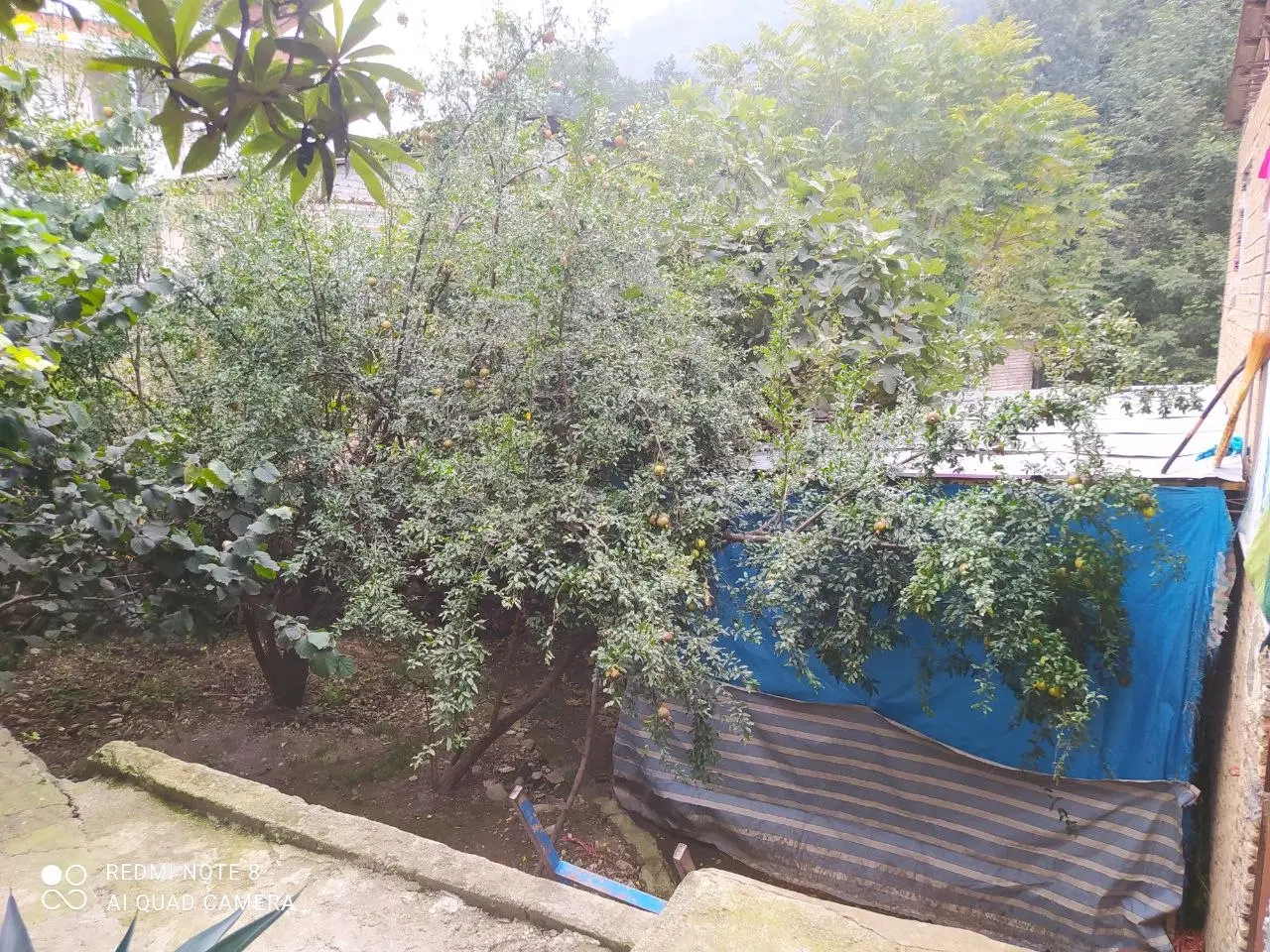 فروش خونه ویلایی در شمال