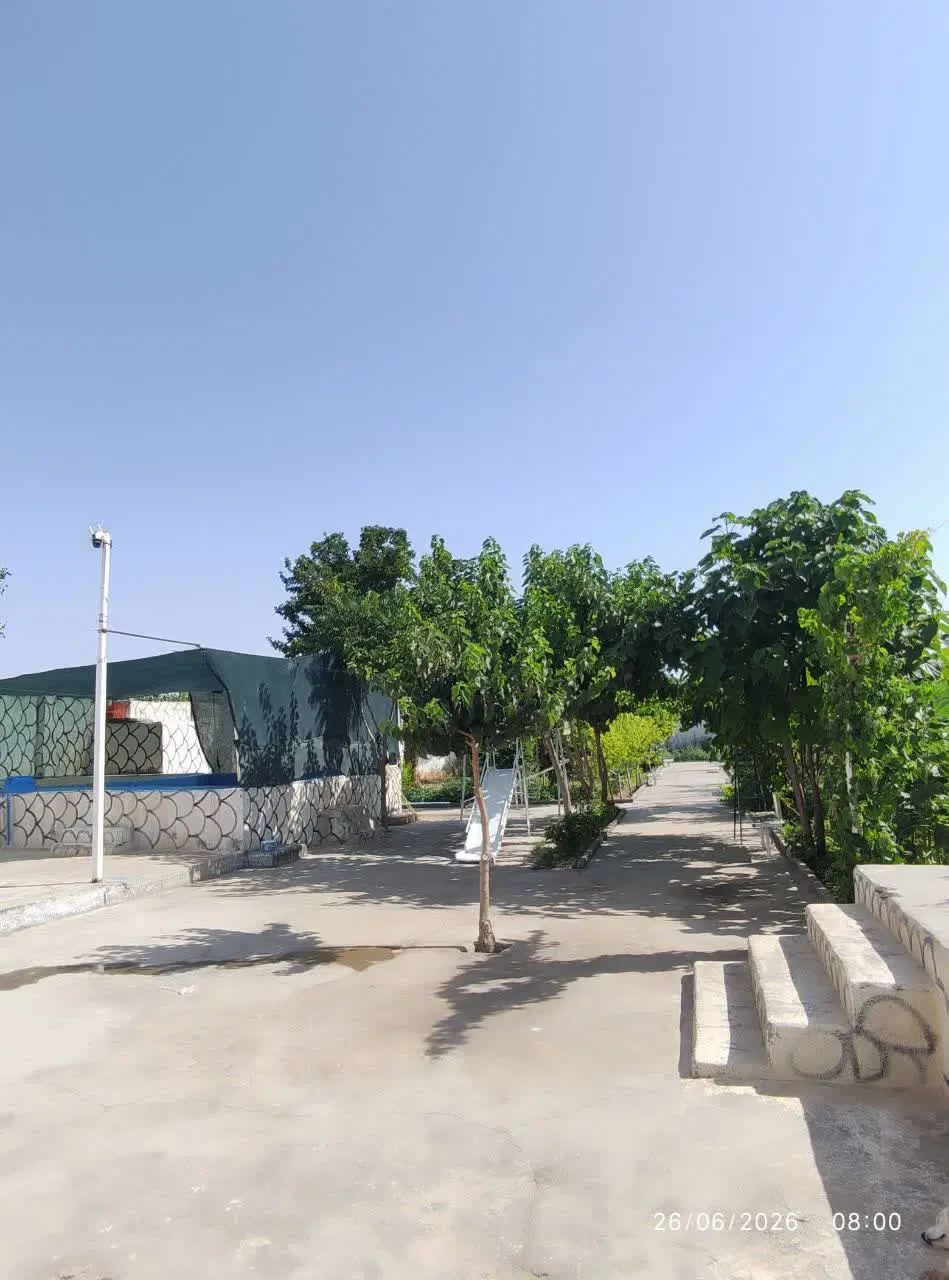 باغ فروشی شیک