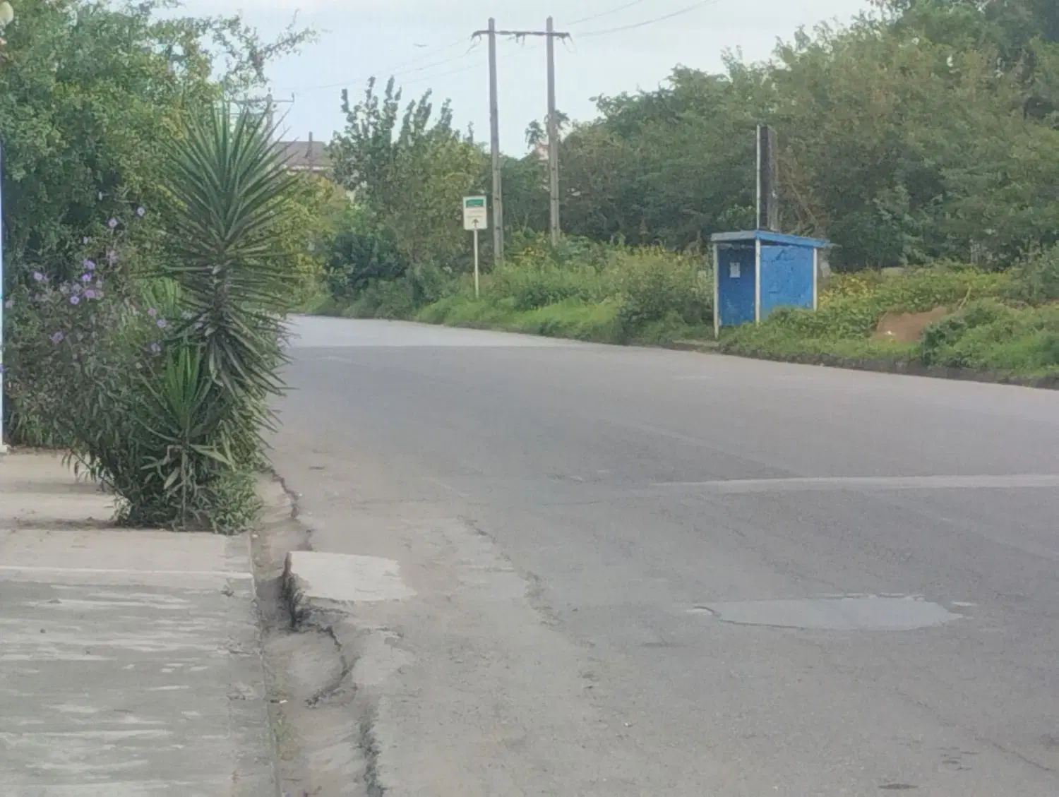 زمین تجاری مسکونی
