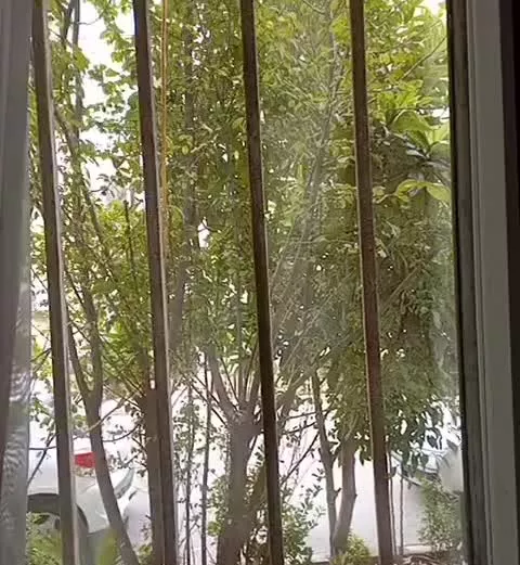 فروش مسکن مهر رویان