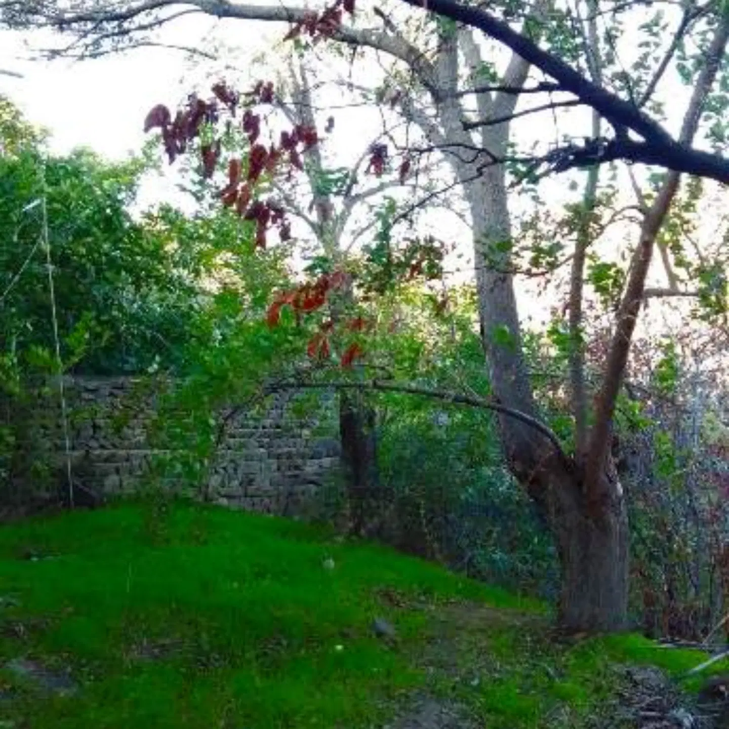 جویای منزل اجاره ای روستایی