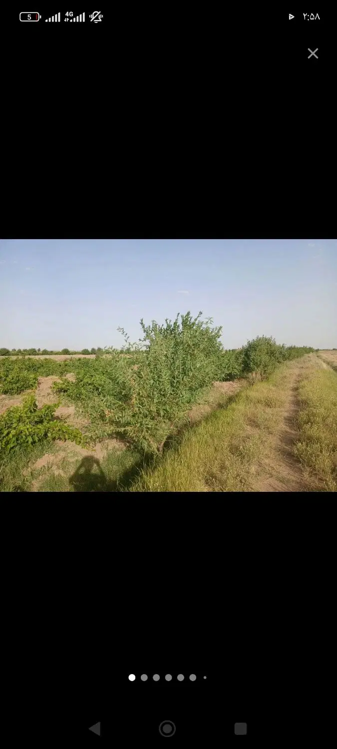 9 من زمین در روستای دستجرد (9باتمان)