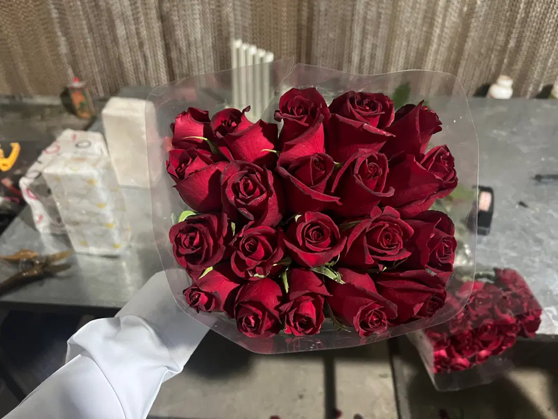 گلخانه