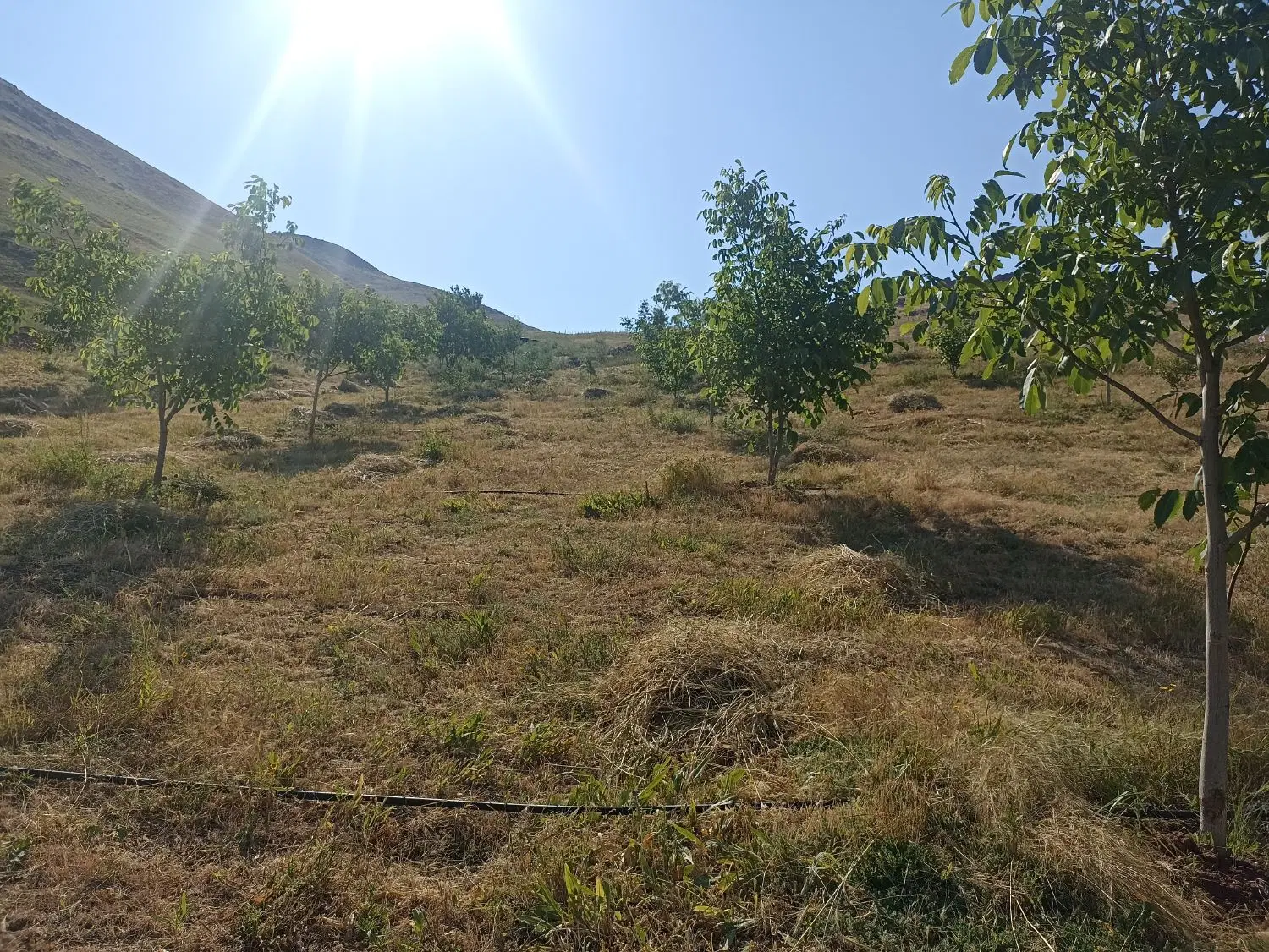 فروش زمین