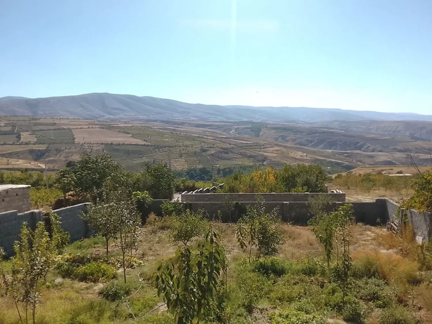 باغ فروشی