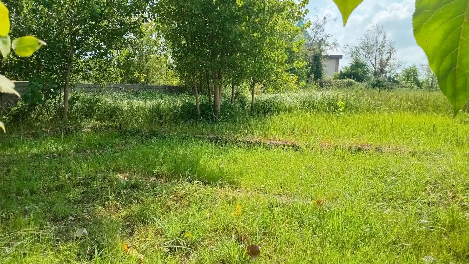 فروش زمین مسکونی