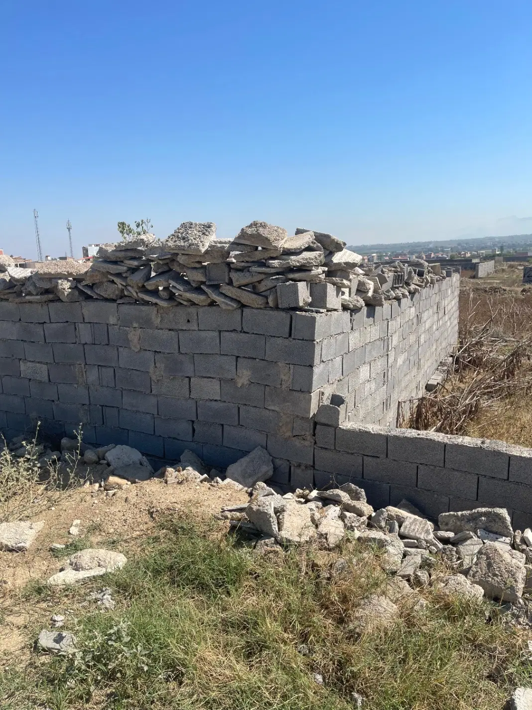 زمین ۷۷ متری تک برگ سند در طبیعت