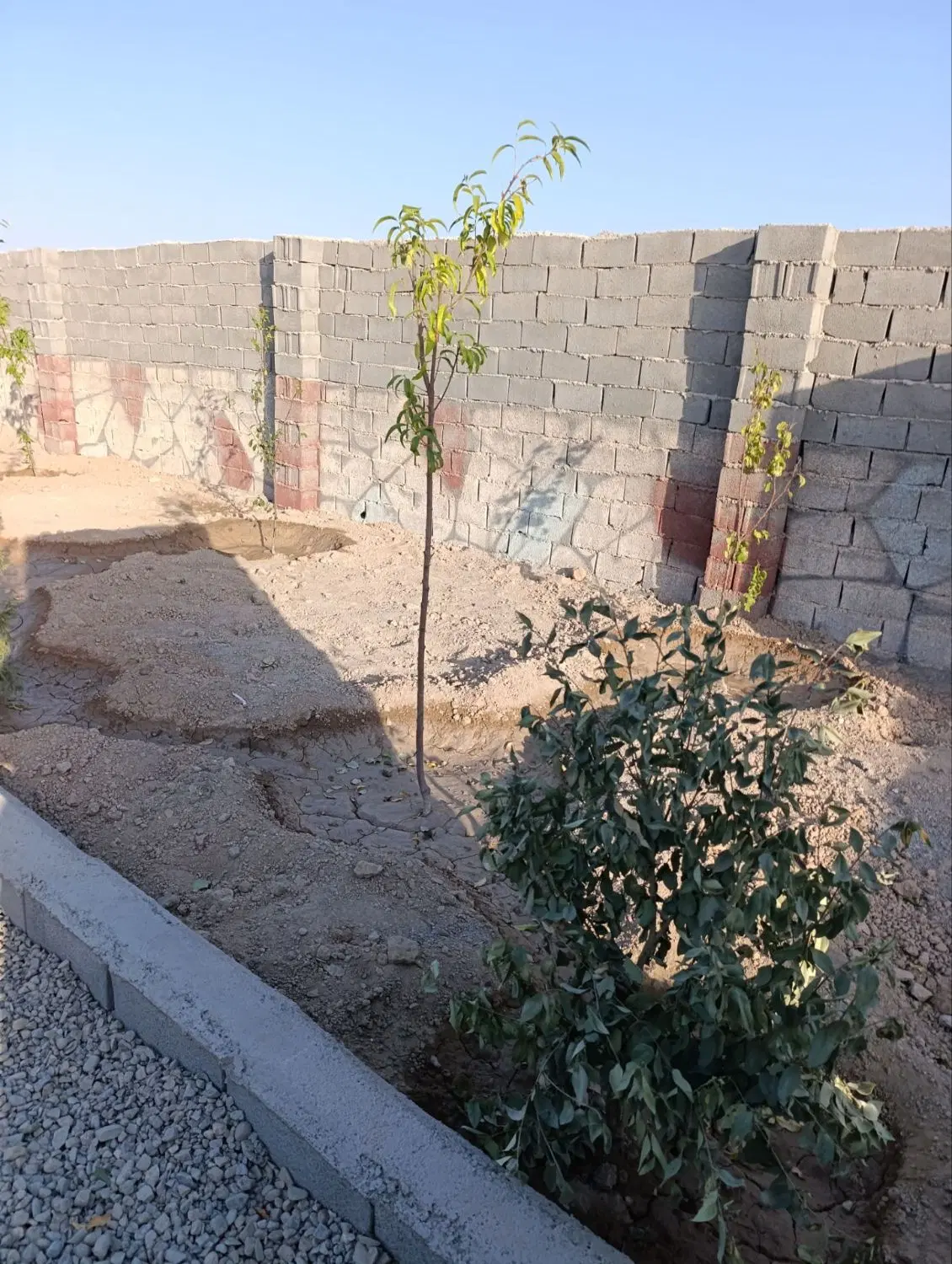 باغچه و باغ _محوطه سازی شده_دیوار_درب