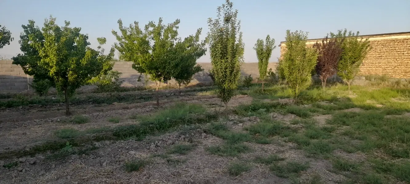 باغ