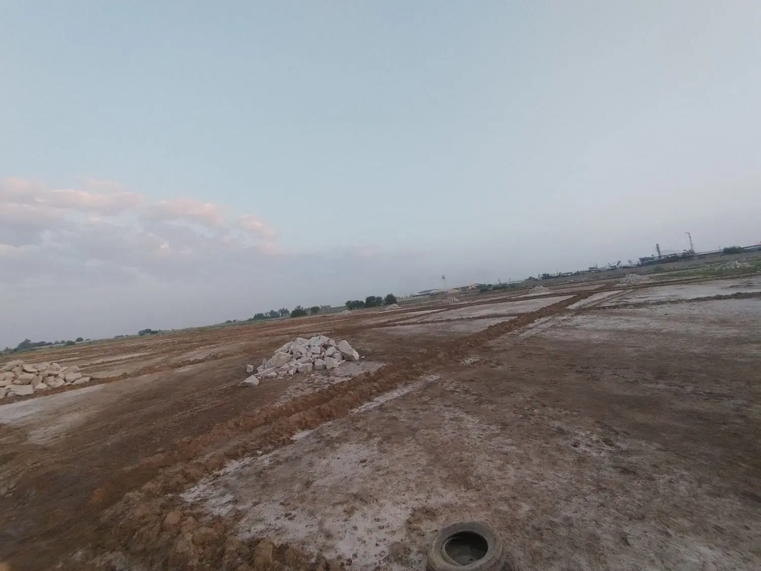 زمین سند تک برگ شیبان
