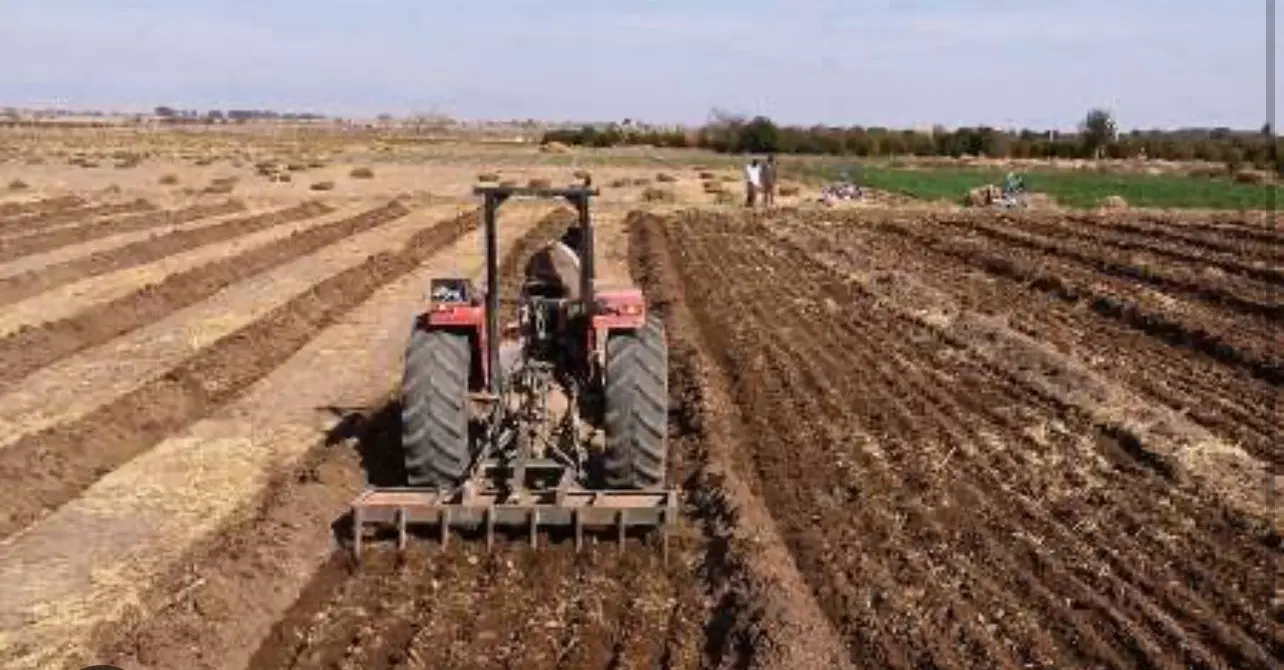 فروش زمین زراعی‌ کیلومتر ۷ سنتو