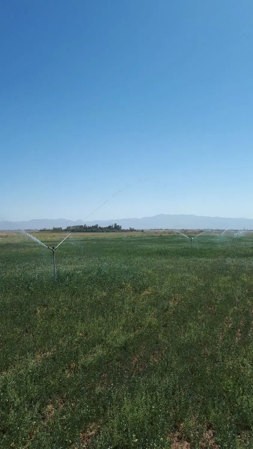 زمین کشاورزی