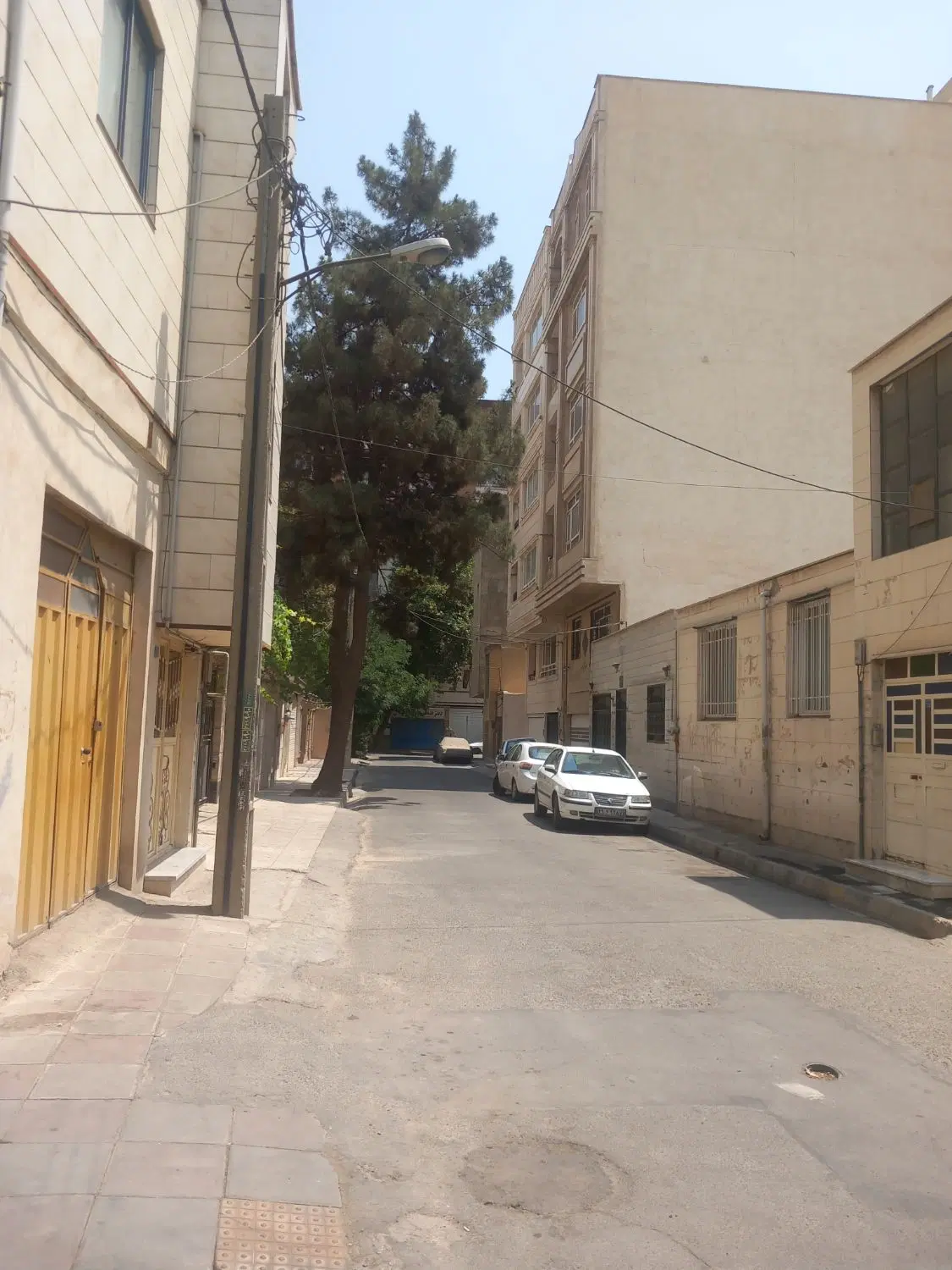 ۱۴۵ متر تک واحد تاجبخش