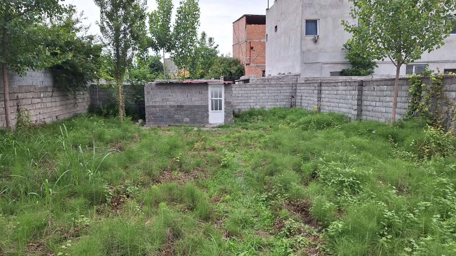 246 متر _ سنددار _ کوی کشاورزی