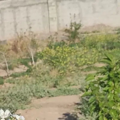 فروش زمین مسکونی خانه باغی نیمه ساخته