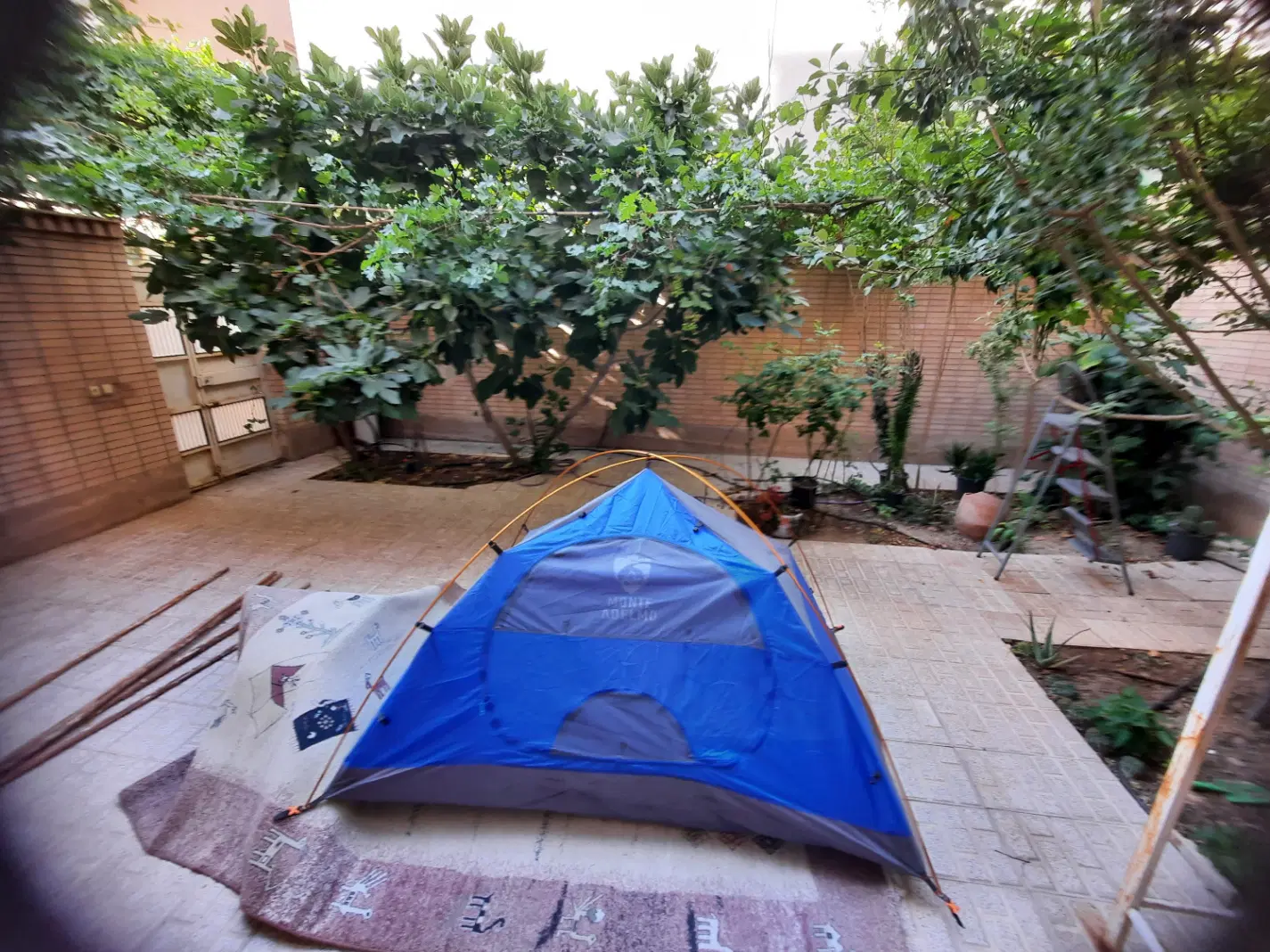 هم خانه خانم بهارستان اصفهان