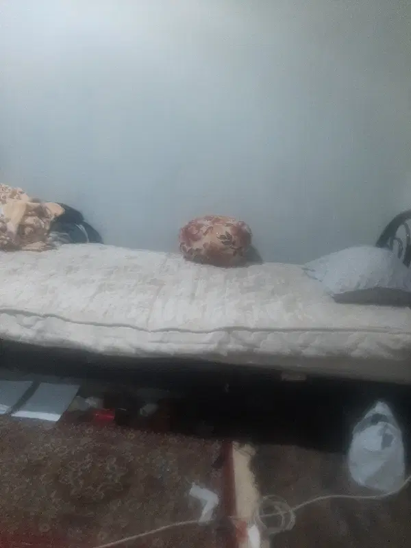 اجاره ساعتی سوییت