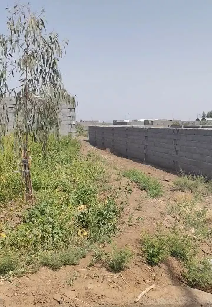 زمین زراعی 300متری قولنامه ای همراه با آب