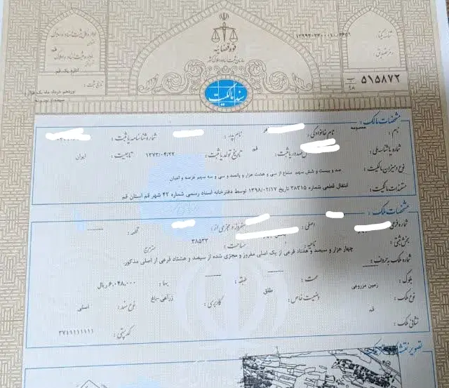 180متر نرگس پشت بر