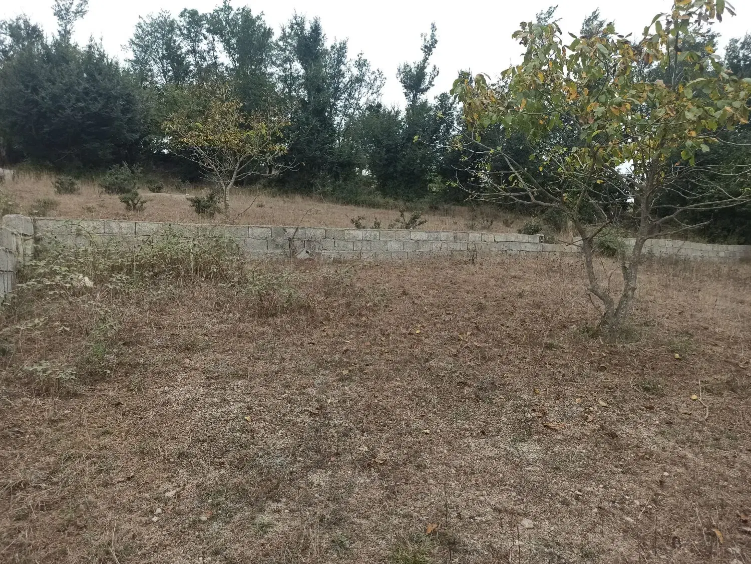 ۲۵۰ متر زمین در  روستای توریستی گنبک