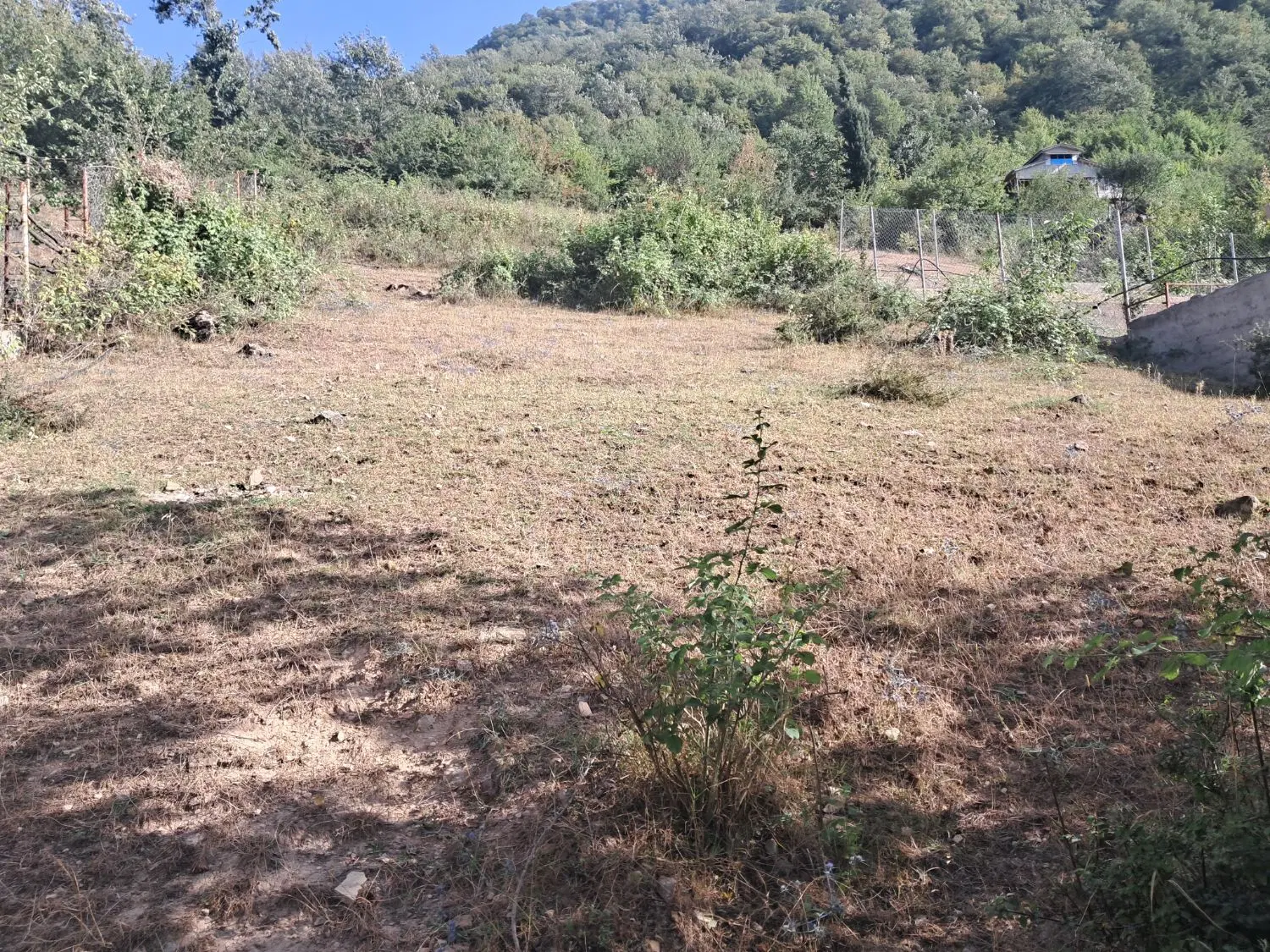 زمین فروشی  لوکال چلی