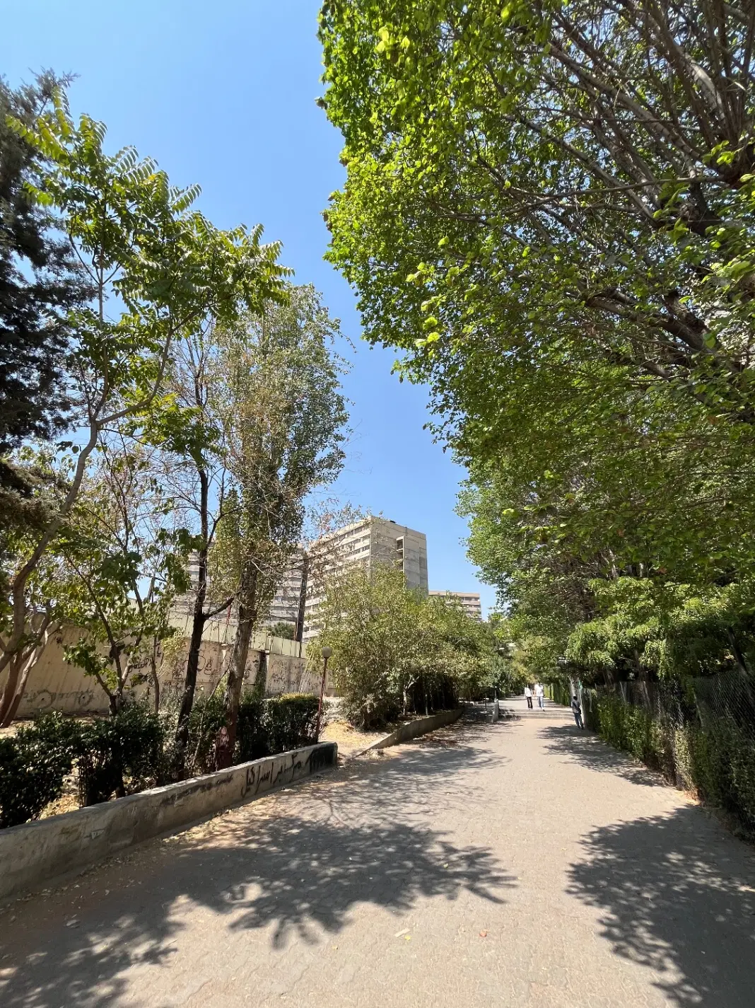 ۱ خوابه فروشی فاز ۲