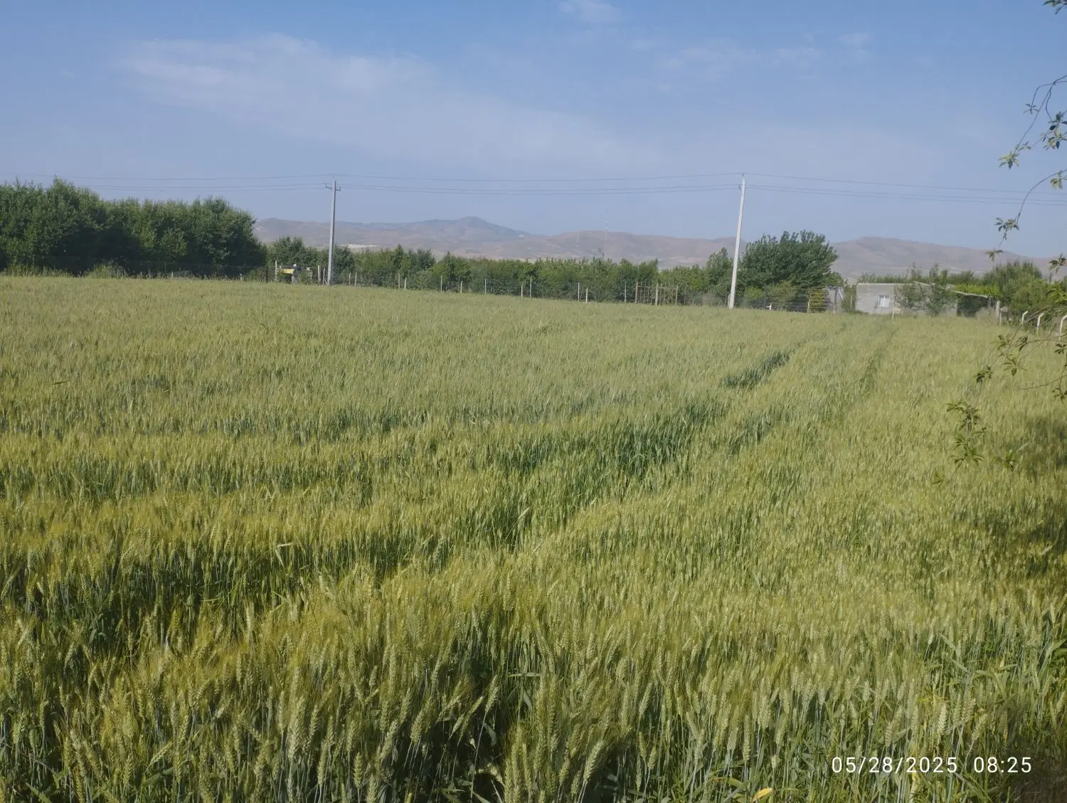 فروش زمین باغ ویلایی