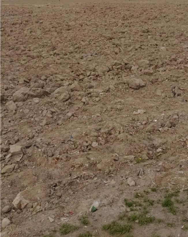 زمین کشاورزی